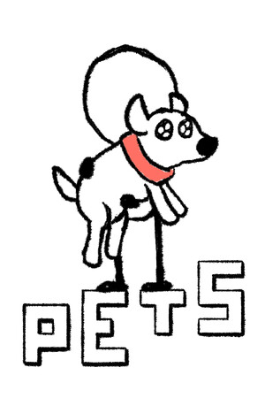 [休闲益智PUZ]PETS 免安装绿色中文版 Build.17795345