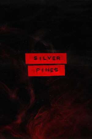 [冒险解谜AVG]银松 Silver Pines 官方中文版 Build.25806663