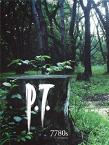[冒险解谜AVG]P.T. Playable Teaser 免安装中文版 v1.0.8